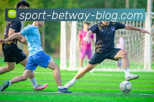 必威体育平台生态图