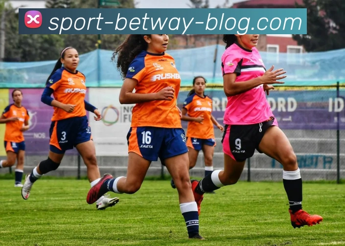 必威体育全站App